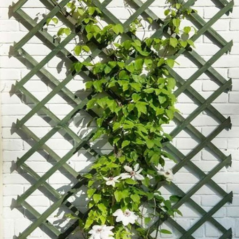 Treillis Extensible En Bois Naturel Vert 50 X 150 Cm Nature