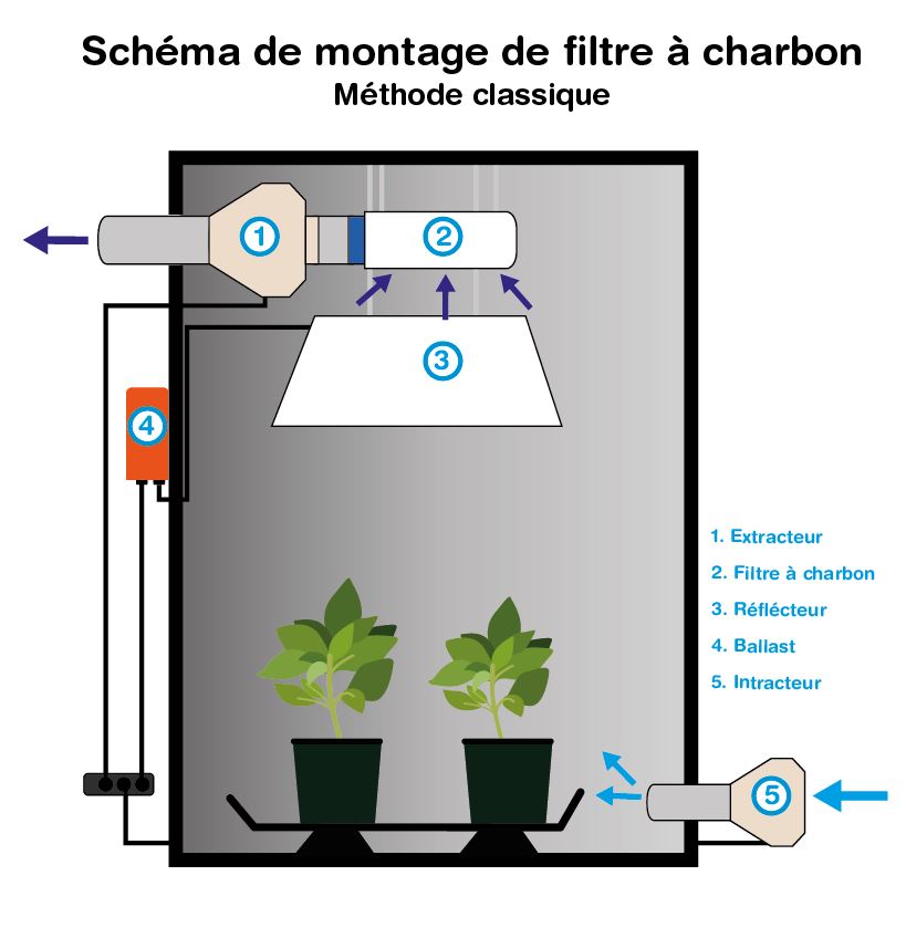 Le rôle du charbon actif dans le système de filtration
