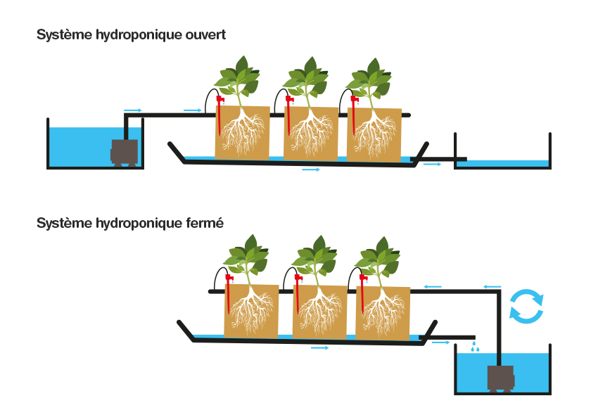 Différents systèmes de la culture hydroponique - Agronomie