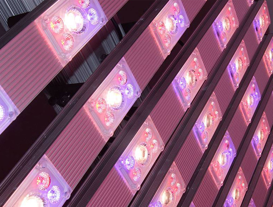 La LED orticoltura: cos'è la tecnologia LED per l'orticoltura?