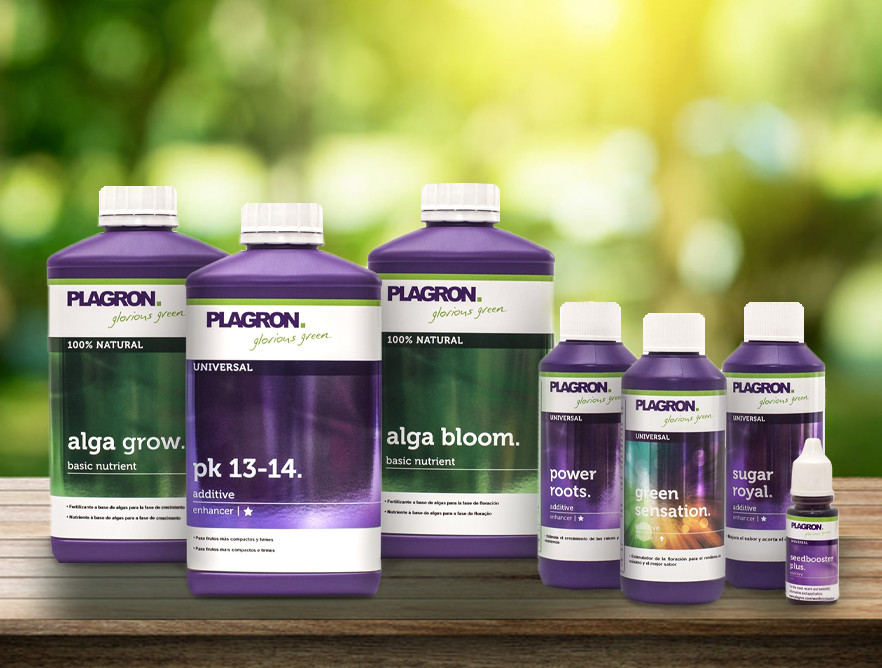 Fertilizers Plagron dutch brand of quality fertilizers 