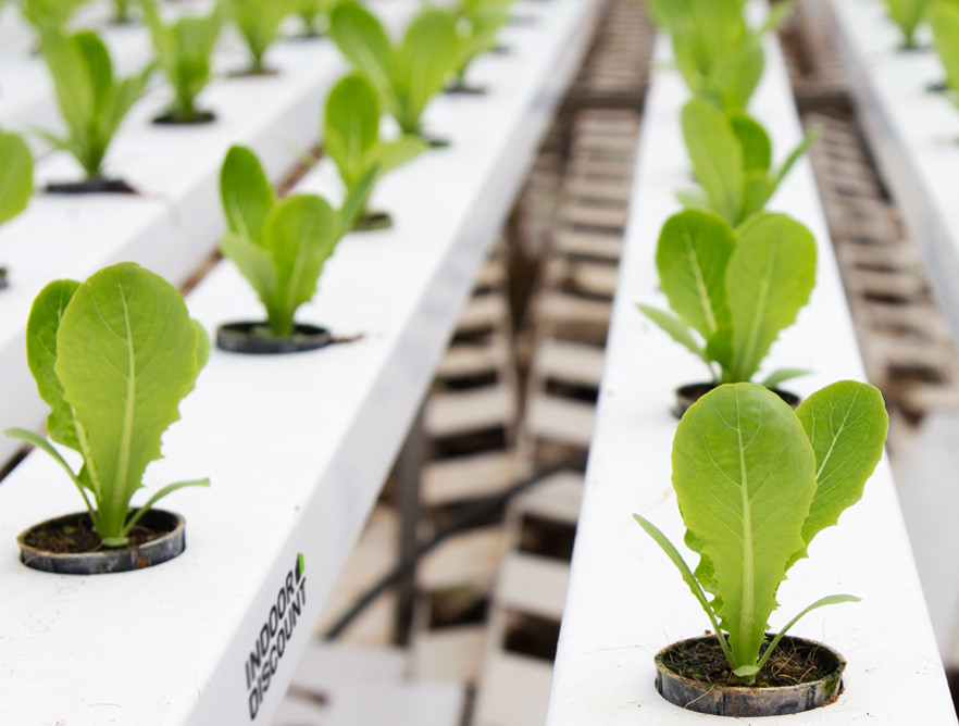 Basics van hydrocultuur - Hydrocultuursystemen en -apparatuur